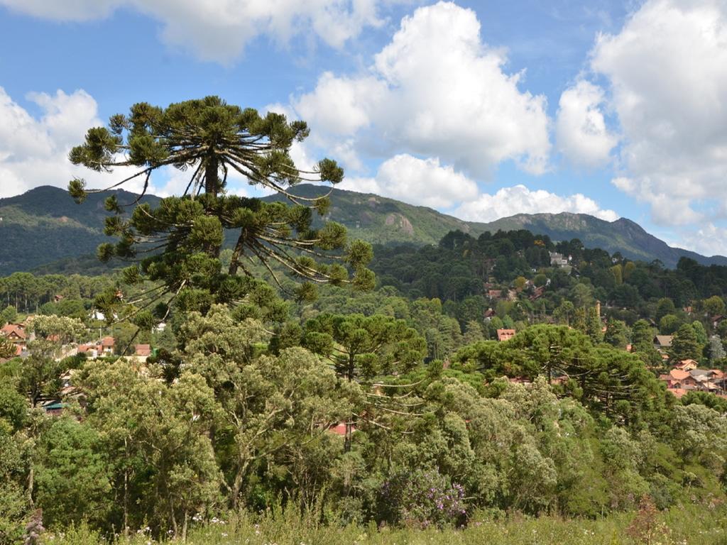 Green Village Hotel Monte Verde  Εξωτερικό φωτογραφία